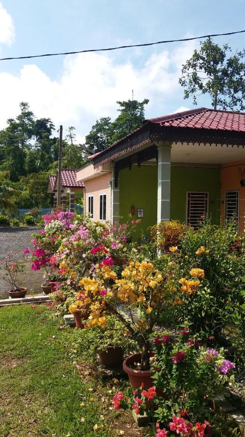 Dhia Irdina Homestay Paya Rewak Extérieur photo