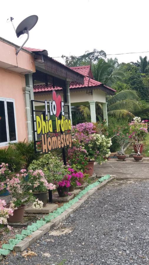 Dhia Irdina Homestay Paya Rewak Extérieur photo
